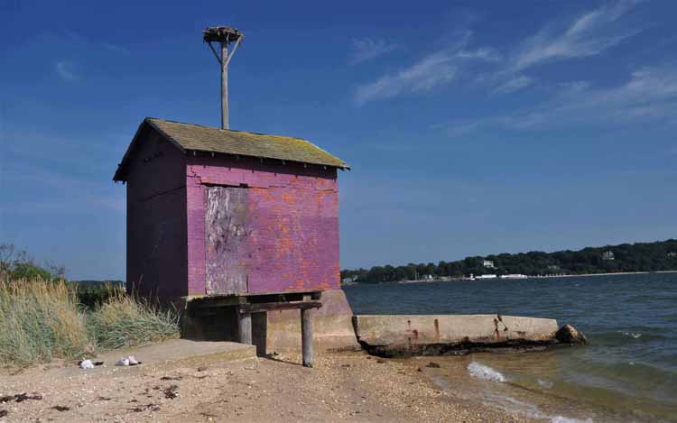 purple building on beach